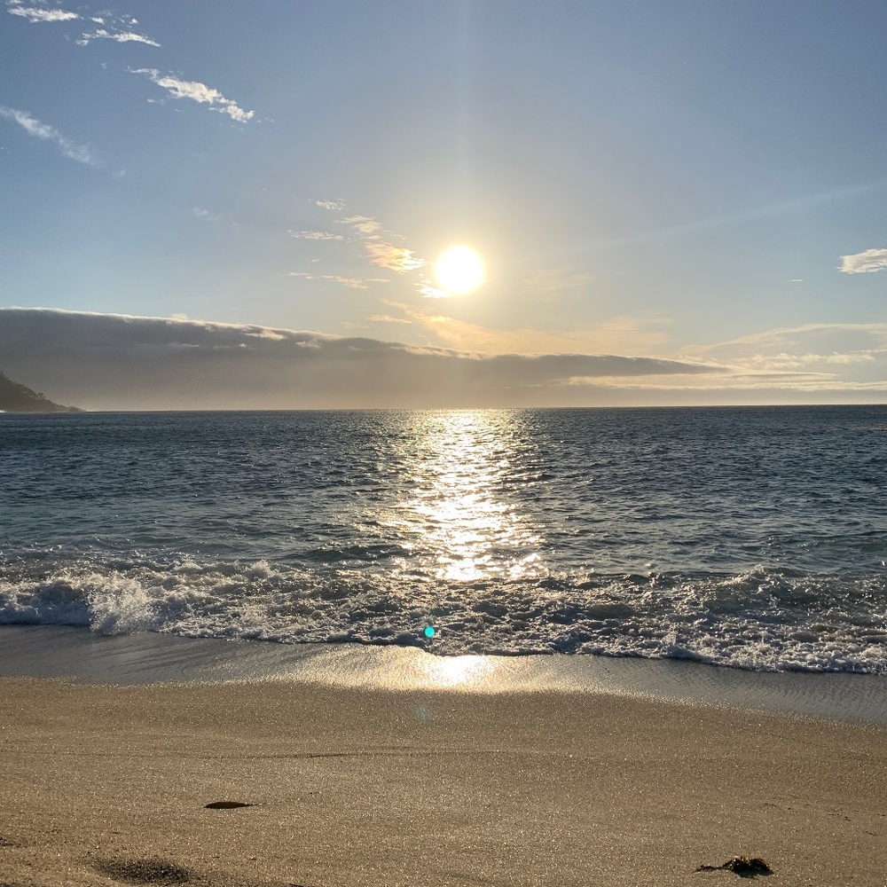 Meet your Posher, Lilliana